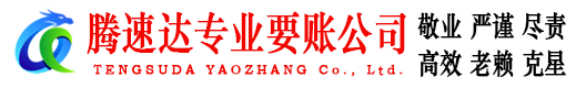 泰和讨债公司